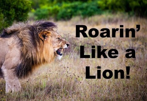 Roarin Like a Lion